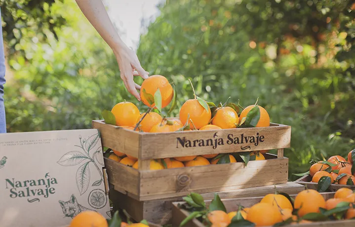 Naranjas Salvajes